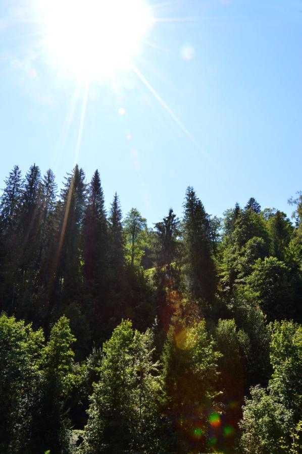 Ferienwohnung Nico Mühlbach am Hochkönig Exteriör bild
